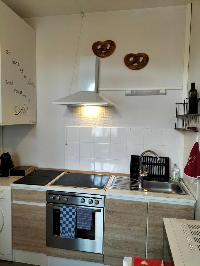 Coeur D'Elsass "Rapp"Appartement Avec Parking Кольмар Екстер'єр фото