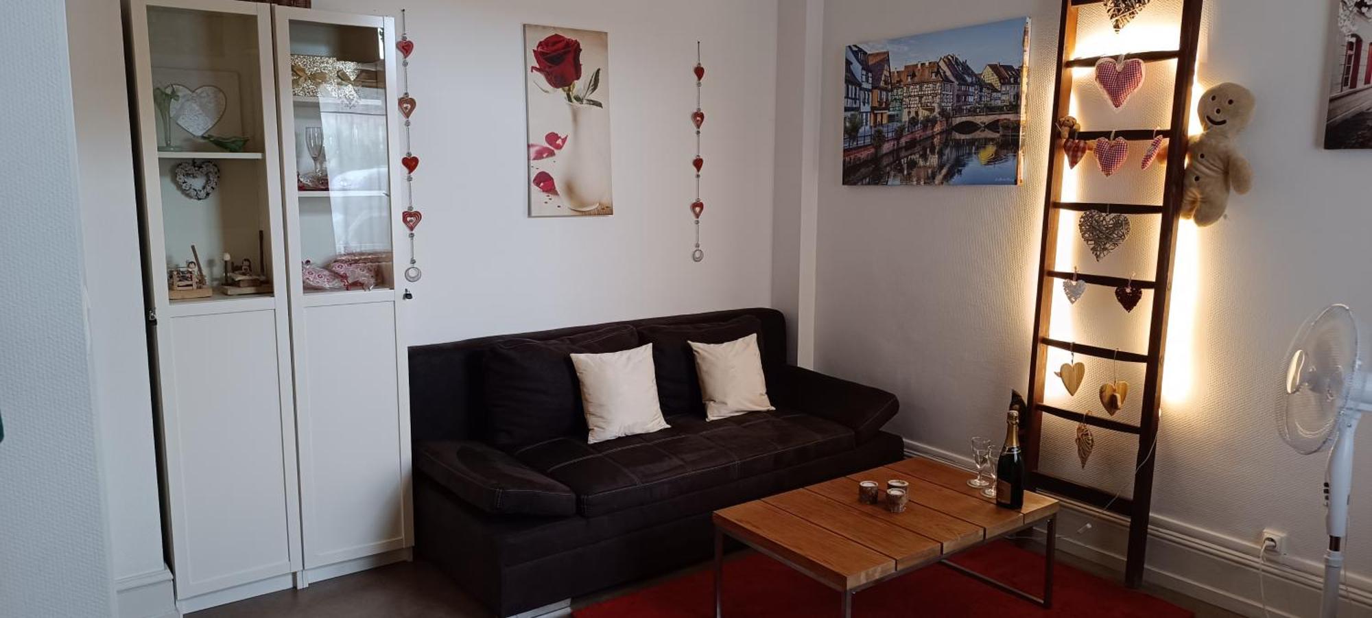 Coeur D'Elsass "Rapp"Appartement Avec Parking Кольмар Екстер'єр фото