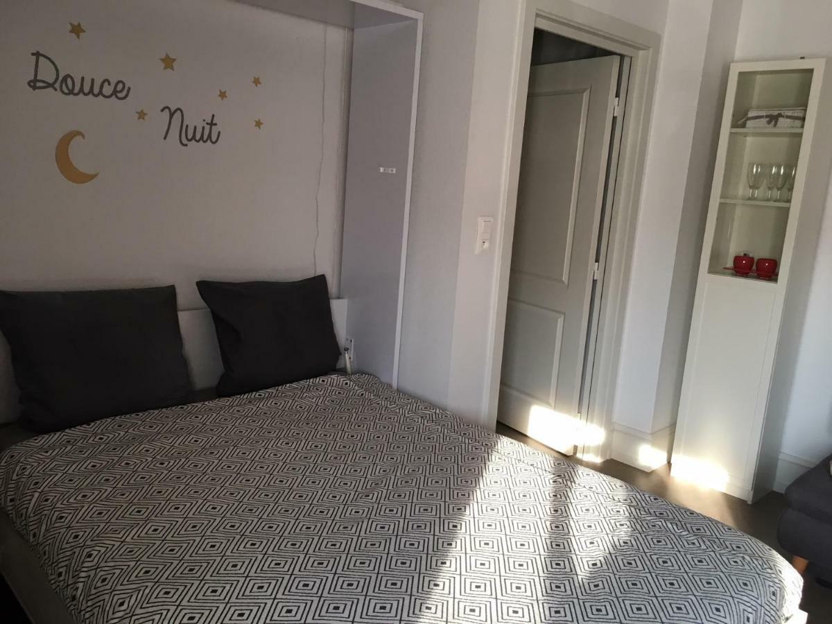 Coeur D'Elsass "Rapp"Appartement Avec Parking Кольмар Екстер'єр фото